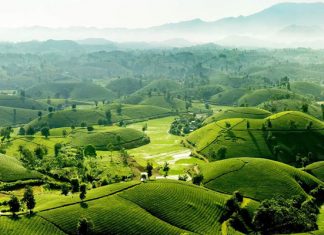 Chia sẻ kinh nghiệm du lịch Phú Thọ tự túc giá rẻ cho người mới Chia sẻ kinh nghiệm du lịch Phú Thọ tự túc giá rẻ cho người mới