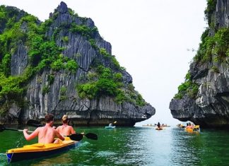 Tour du lịch Vịnh Lan Hạ tự túc mùa hè có gì hấp dẫn? Tour du lịch Vịnh Lan Hạ tự túc mùa hè có gì hấp dẫn?