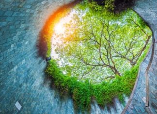 Check in top 10 địa điểm du lịch Singapore mùa hè không thể bỏ lỡ Check in top 10 địa điểm du lịch Singapore mùa hè không thể bỏ lỡ